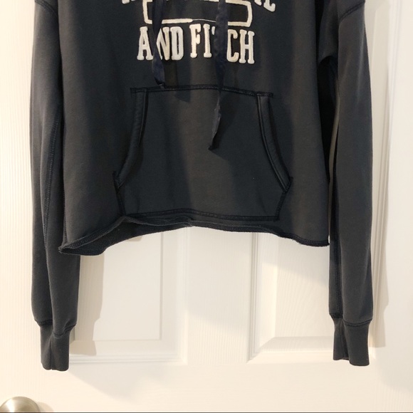 Abercrombie&fitch Navy color Crop Hoodie - Picture 3 of 6